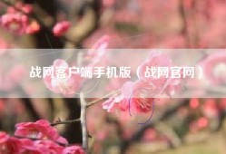 战网客户端手机版（战网官网）