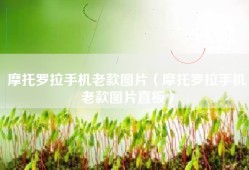 摩托罗拉手机老款图片（摩托罗拉手机老款图片直板）