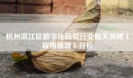 杭州滨江区数字化转型行业相关领域（应用领域）分析