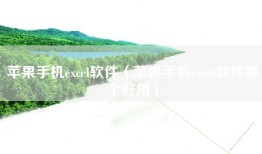 苹果手机excel软件（苹果手机excel软件哪个好用）