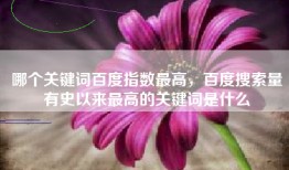 哪个关键词百度指数最高，百度搜索量有史以来最高的关键词是什么