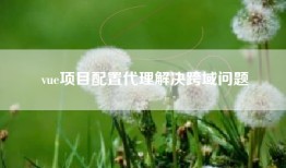 vue项目配置代理解决跨域问题