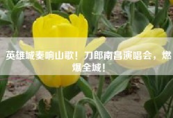 英雄城奏响山歌！刀郎南昌演唱会，燃爆全城！