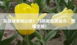 英雄城奏响山歌！刀郎南昌演唱会，燃爆全城！