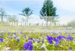小红书信息流广告怎么运营投放