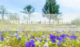 小红书信息流广告怎么运营投放