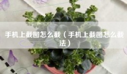 手机上截图怎么截（手机上截图怎么截法）