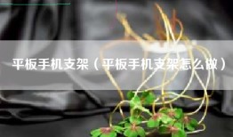 平板手机支架（平板手机支架怎么做）