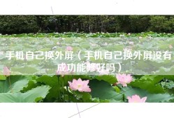 手机自己换外屏（手机自己换外屏没有成功能修好吗）