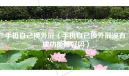 手机自己换外屏（手机自己换外屏没有成功能修好吗）