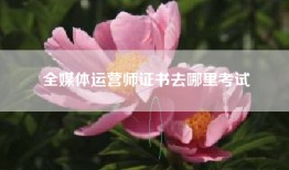 全媒体运营师证书去哪里考试