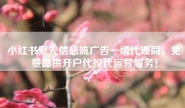 小红书聚光信息流广告一级代理商，免费提供开户代投代运营服务！