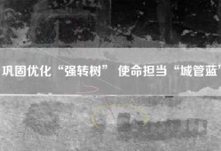 巩固优化“强转树” 使命担当“城管蓝”