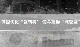 巩固优化“强转树” 使命担当“城管蓝”