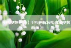 手机视频导航（手机导航怎样调出视频画面）