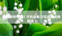 手机视频导航（手机导航怎样调出视频画面）