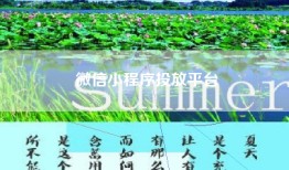 微信小程序投放平台