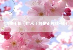 维米手机（唯米手机是正规牌子吗）