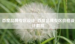 百度品牌专区设计_百度品牌专区价格设计教程