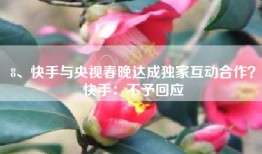8、快手与央视春晚达成独家互动合作？快手：不予回应