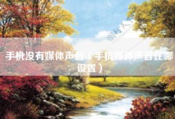 手机没有媒体声音（手机媒体声音在哪设置）