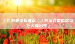 手机游戏虚拟键盘（手机游戏虚拟键盘怎么弄出来）