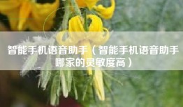智能手机语音助手（智能手机语音助手哪家的灵敏度高）