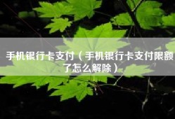 手机银行卡支付（手机银行卡支付限额了怎么解除）