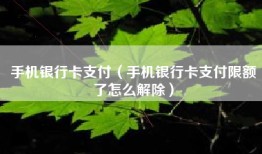 手机银行卡支付（手机银行卡支付限额了怎么解除）