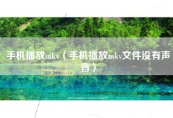 手机播放mkv（手机播放mkv文件没有声音）