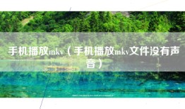 手机播放mkv（手机播放mkv文件没有声音）