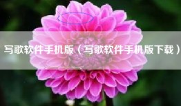 写歌软件手机版（写歌软件手机版下载）