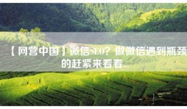 【网营中国】微信SEO？做微信遇到瓶颈的赶紧来看看...