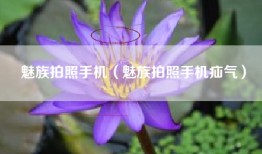 魅族拍照手机（魅族拍照手机疝气）