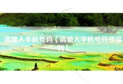 请输入手机号码（请输入手机号码领福利）