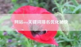 网站seo关键词排名优化秘诀