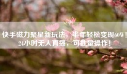 快手磁力聚星新玩法，半年轻松变现60W！24小时无人直播，可批量操作！