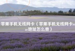 苹果手机无线网卡（苹果手机无线网卡mac地址怎么查）