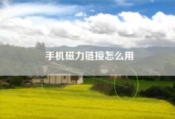 手机磁力链接怎么用