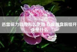迅雷磁力链接怎么使用 百度网盘前缀开头是什么