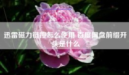 迅雷磁力链接怎么使用 百度网盘前缀开头是什么