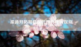 渠道开拓和县区代理有什么区别