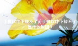 手机软件下载不了（手机软件下载不了是什么原因）
