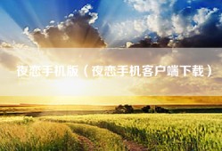 夜恋手机版（夜恋手机客户端下载）