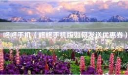 咚咚手机（咚咚手机版如何发送优惠券）