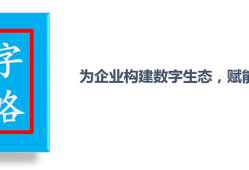 数字化转型：一场由新一代信息技术驱动的深度变革