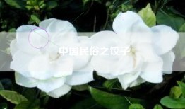 中国民俗之饺子