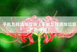 手机怎样清除垃圾（手机怎样清除垃圾广告弹窗）