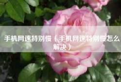 手机网速特别慢（手机网速特别慢怎么解决）