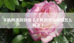 手机网速特别慢（手机网速特别慢怎么解决）